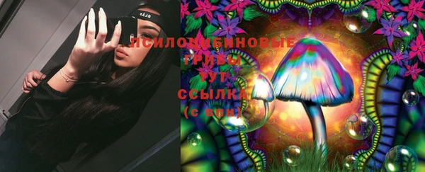 mdma Медвежьегорск